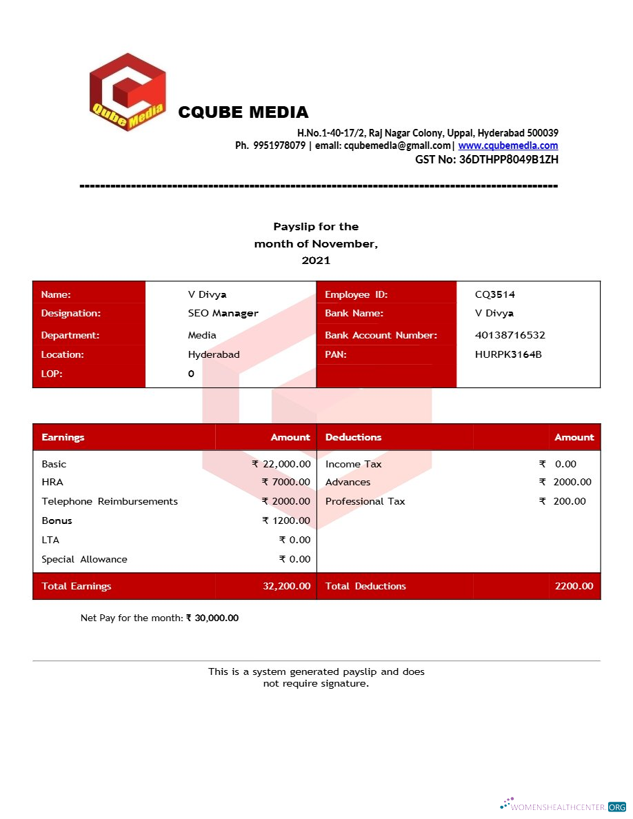 Download Cqube Media payslip template in Word and PDF formats.pdf, 1 Photoshop template